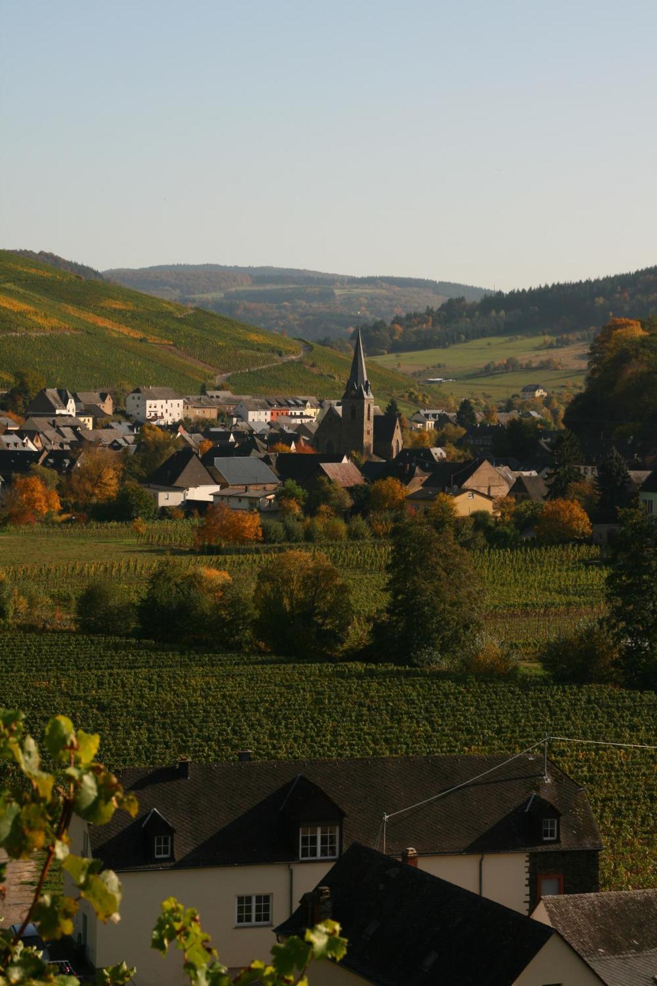 Weingut & Gaestehaus Stephan Kohl Hotel Neumagen-Dhron Exterior photo